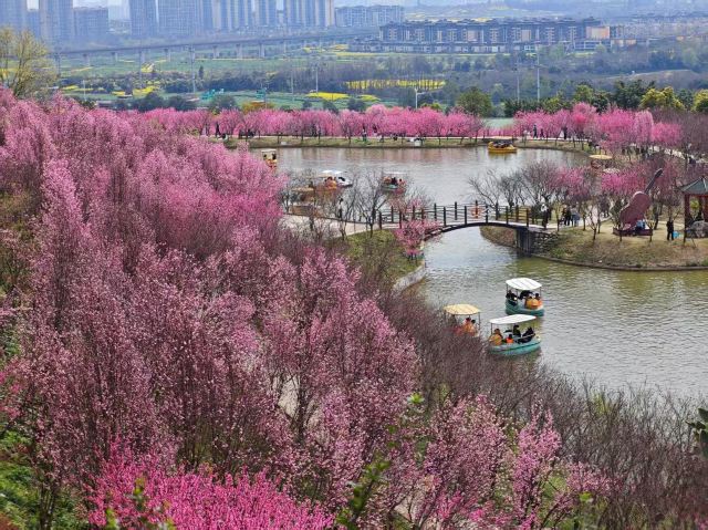 音乐·百花谷旅行图片 4