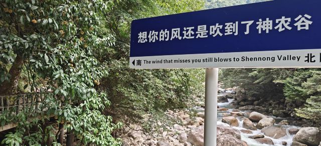 炎陵县神农谷国家森林公园旅行图片 4