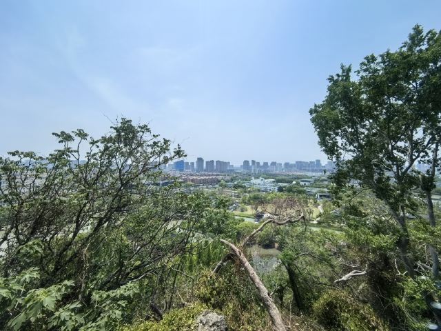 亭林园旅行图片 2