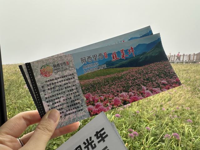 阿西里西韭菜坪旅行图片 2