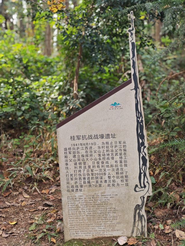 冶父山国家森林公园旅行图片 8