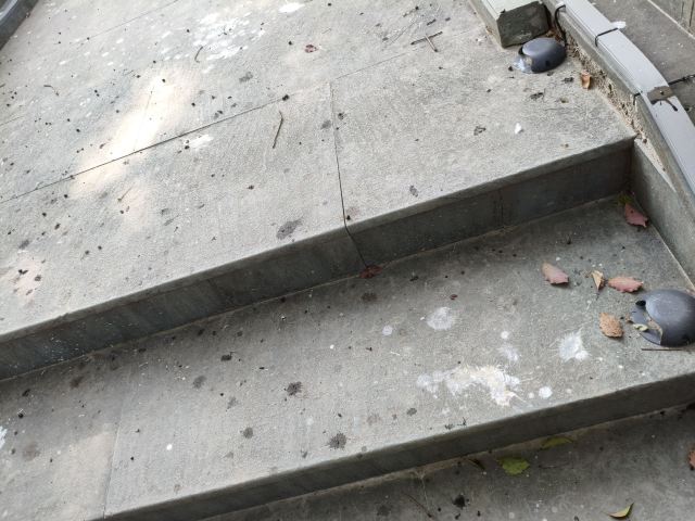 上海韩湘水博园旅行图片 1