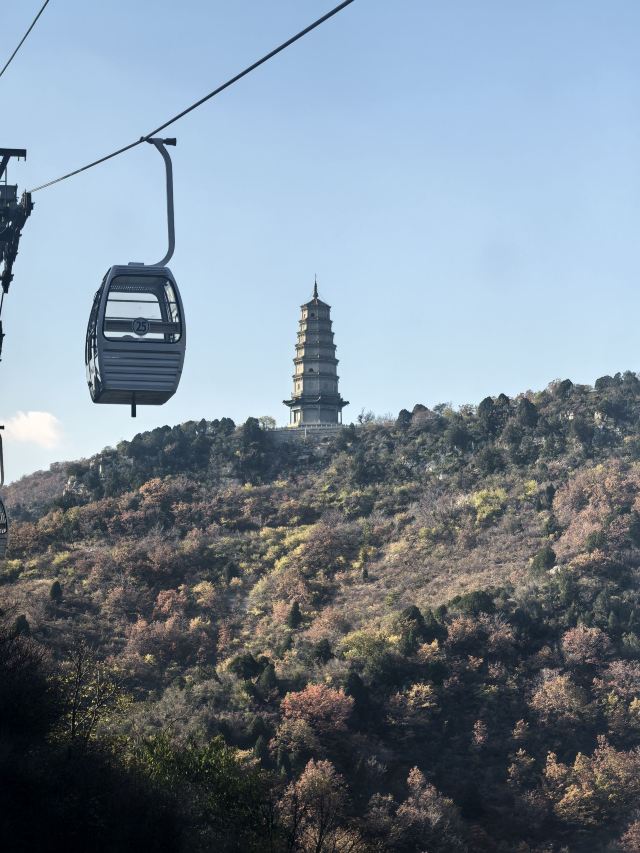 仙堂山萌宠园旅行图片 1