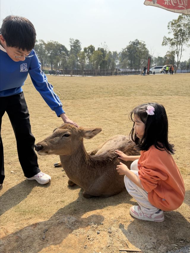 湖南常德野生动物世界旅行图片 2