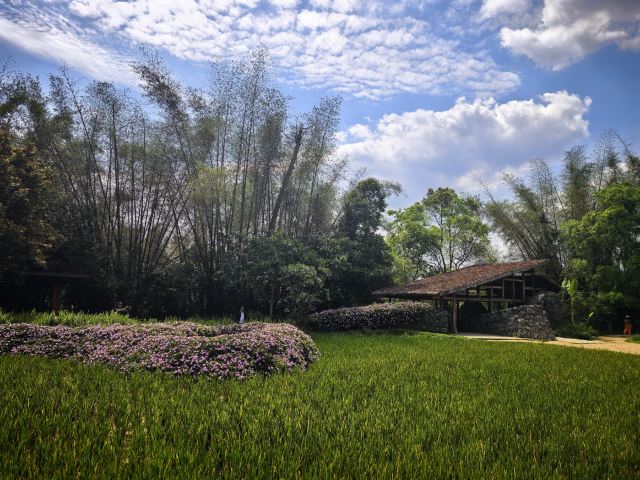 峒那屿湾旅行图片 2