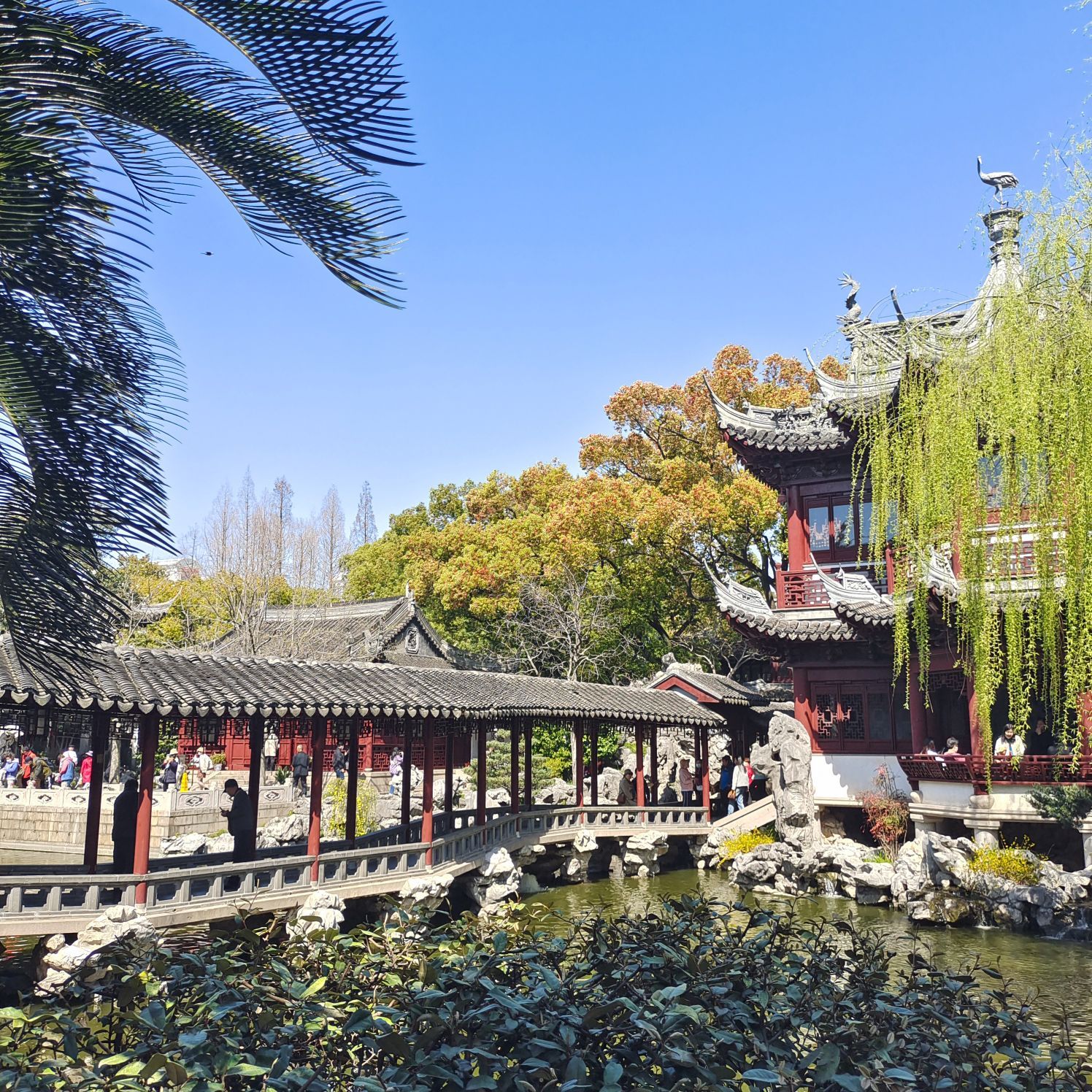 Yuyuan Garden. Shanghai 