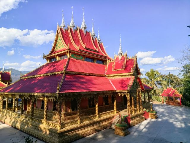 西双版纳独树成林景区旅行图片 4