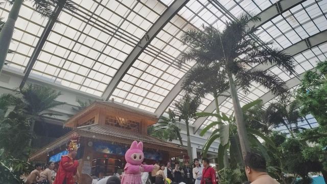 国信南山温泉旅行图片 1