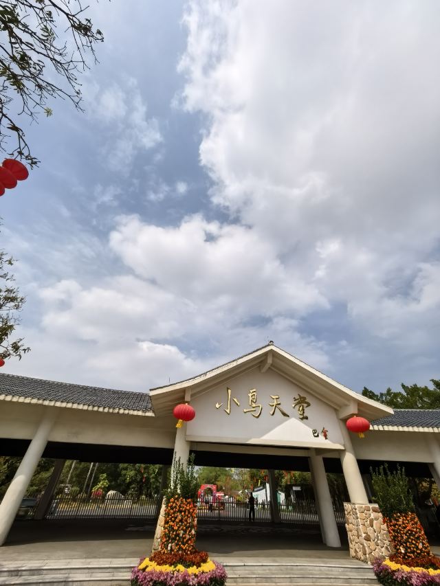 小鸟天堂旅行图片 1