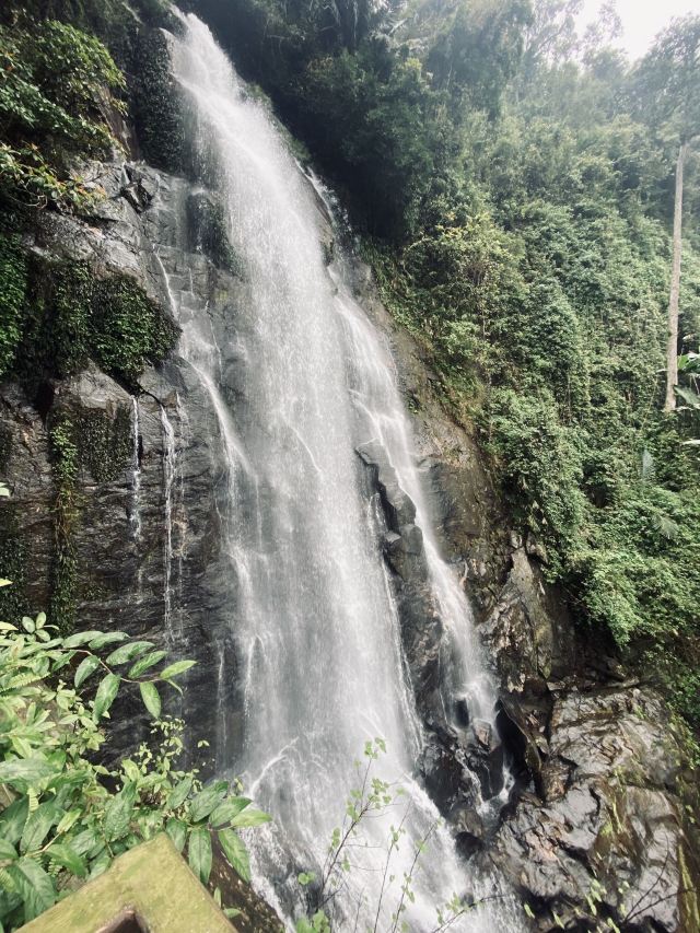 海南百花岭热带雨林文化旅游区-小卖部旅行图片 1