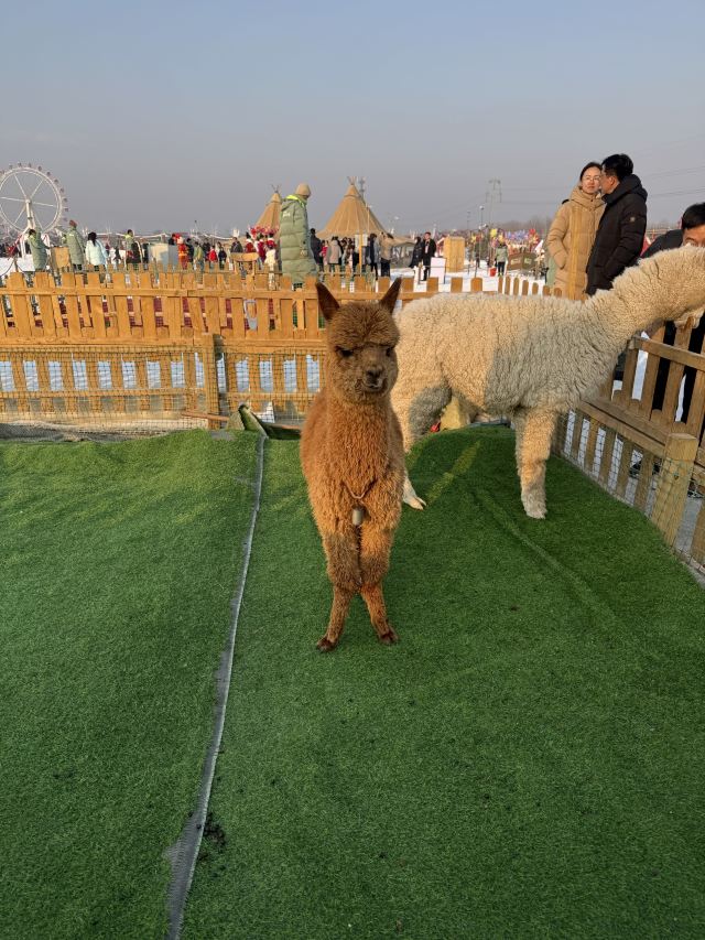 太原康培稻田公园旅行图片 1