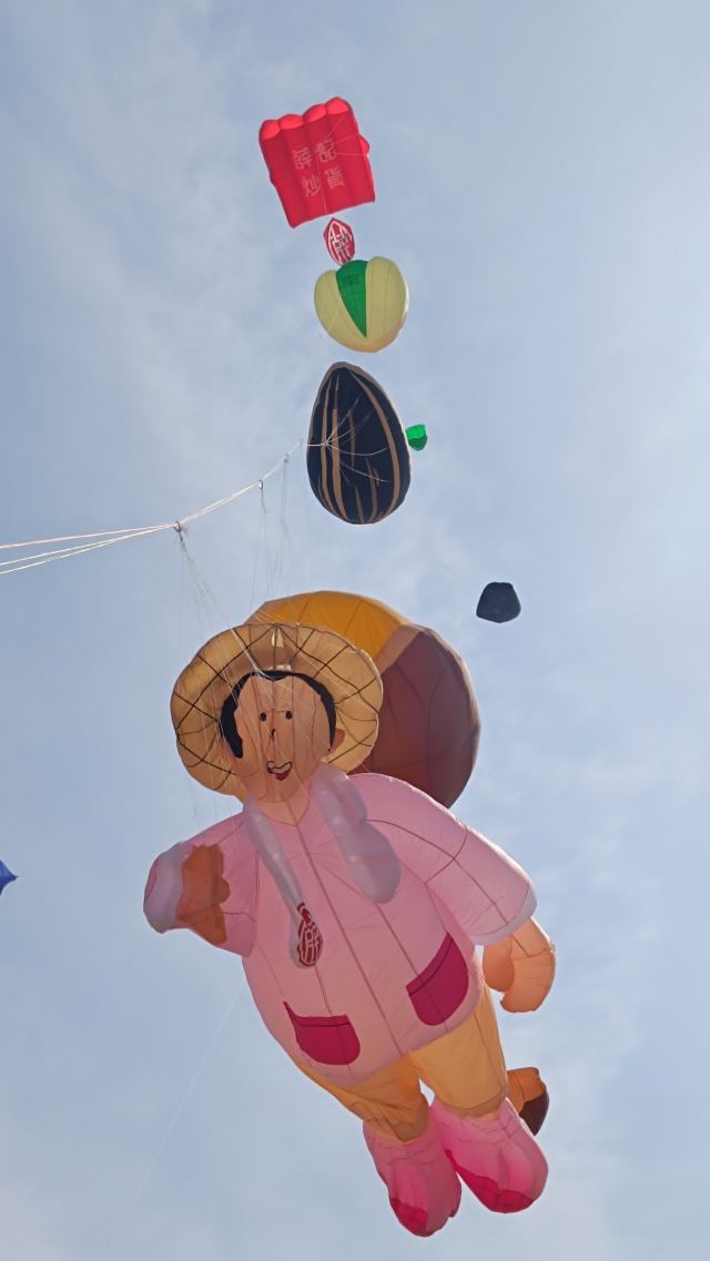 世界风筝公园旅行图片 7