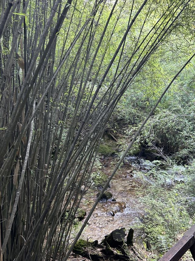 卡定沟景区旅行图片 2