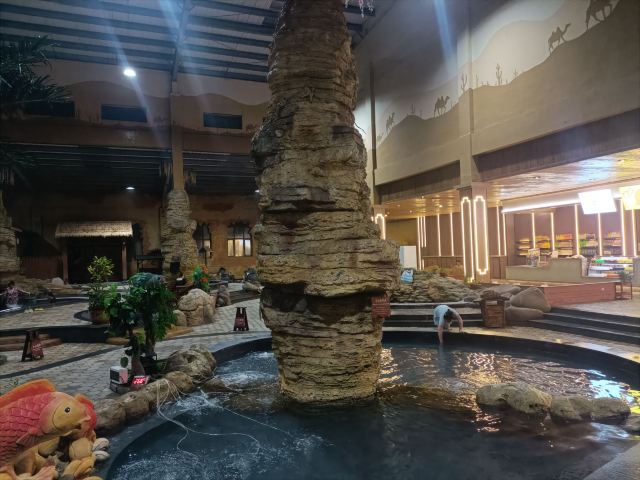 水师森林公园旅行图片 2
