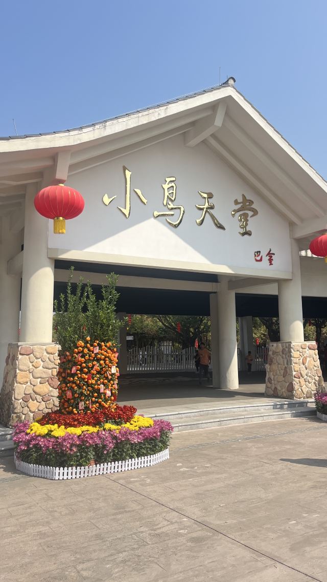 小鸟天堂旅行图片 1
