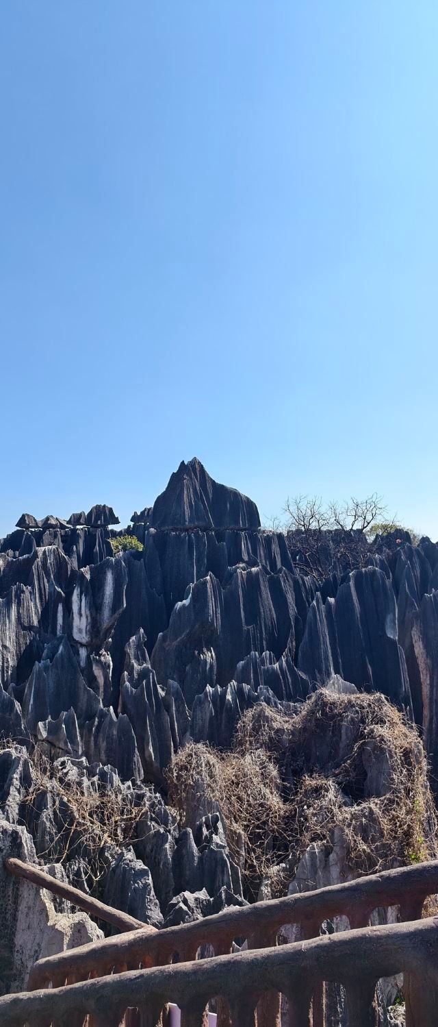 石林风景区旅行图片 1