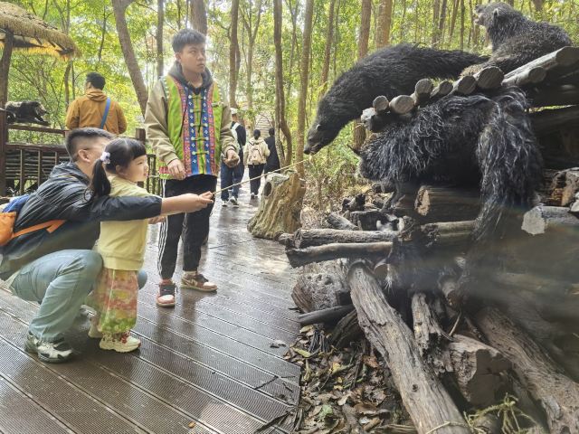 普洱太阳河森林公园旅行图片 3