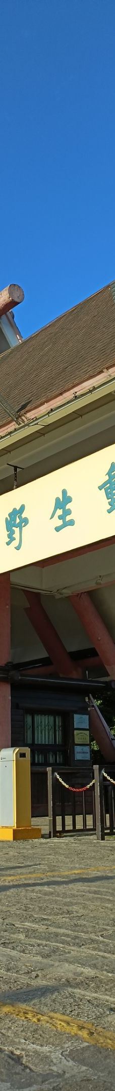 上海野生动物园-上海-Nina909303