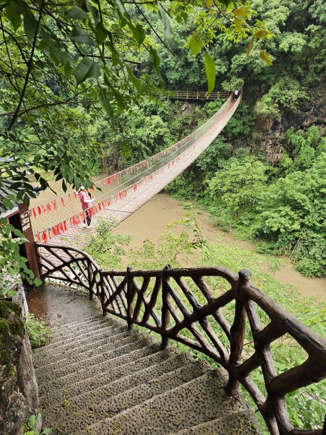 洒金公园旅行图片 5