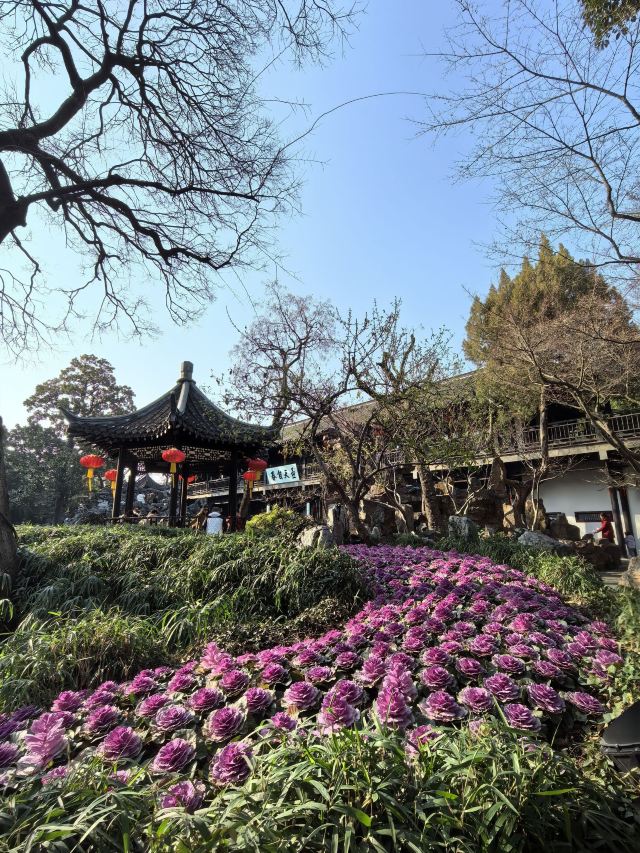 个园旅行图片 7