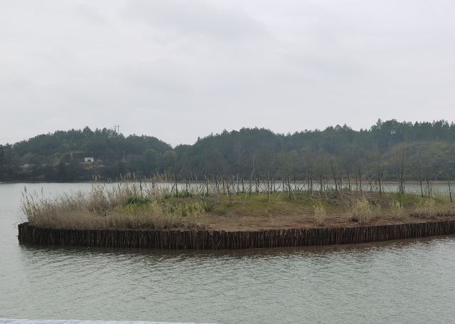 鄱阳湖国家湿地公园旅行图片 1