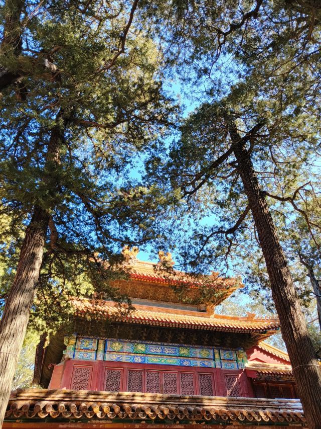 故宫博物院旅行图片