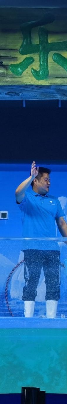 呼和浩特-YoYo_2X7W5Z8U