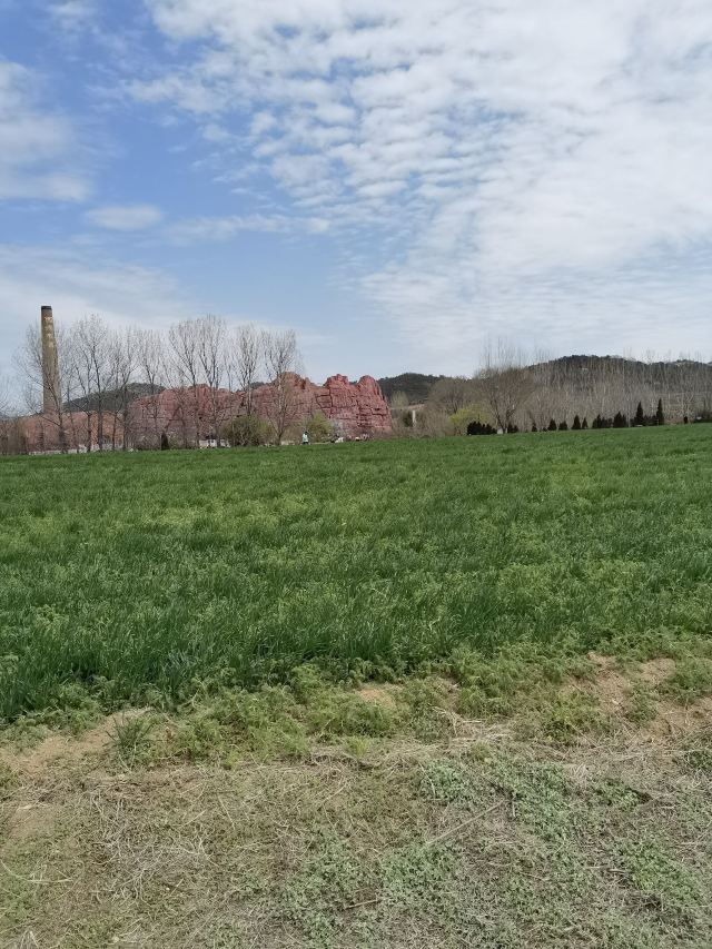 青岛西海岸生态观光园旅行图片 2