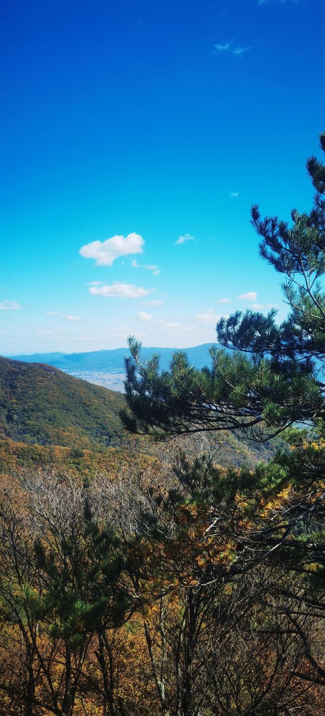 鸡冠山国家森林公园旅行图片 9