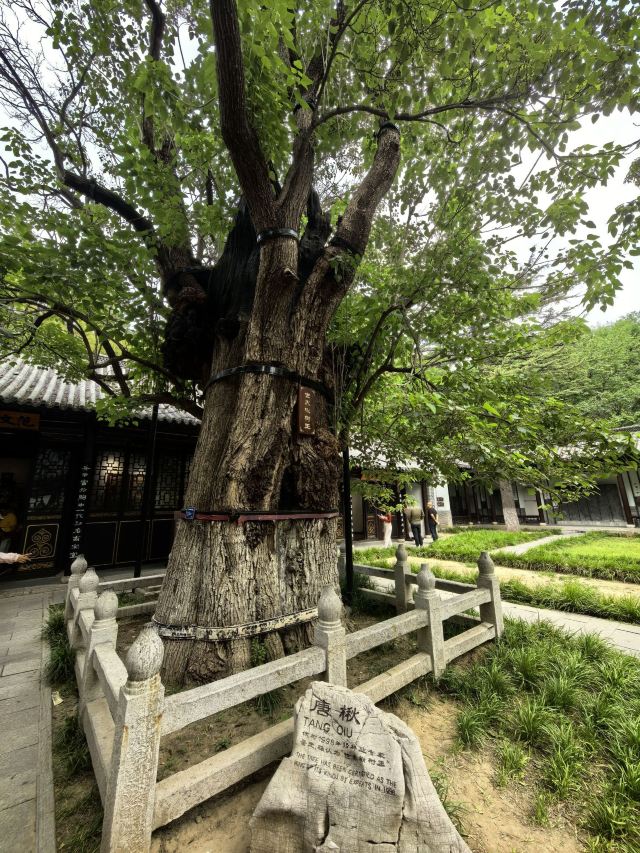 范公亭公园旅行图片 4