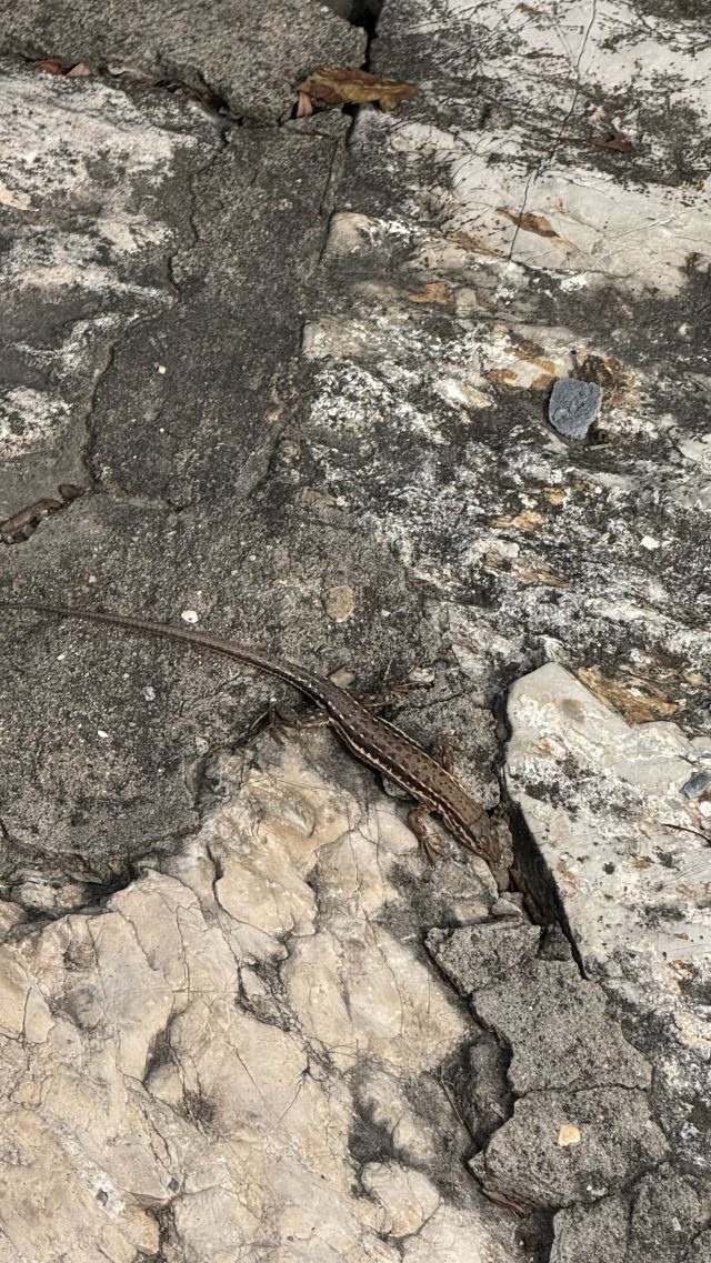 千灵山旅行图片 3