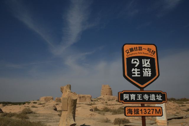 锁阳城遗址旅行图片 2