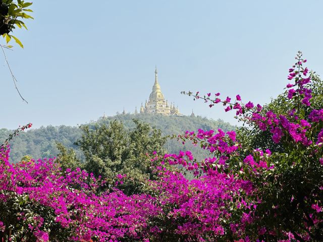 勐巴娜西珍奇园旅行图片 1