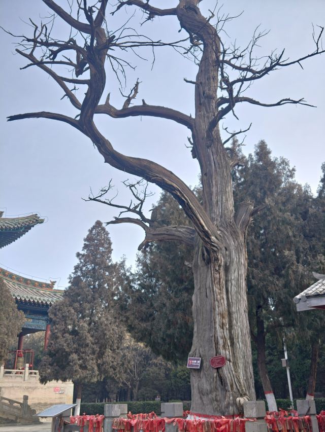 尧庙旅行图片 6