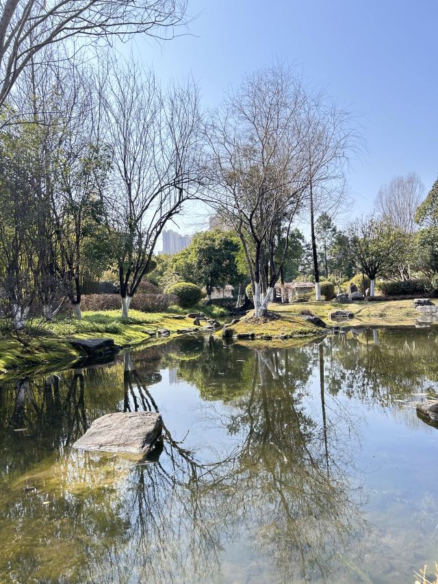 武汉园博园旅行图片 7