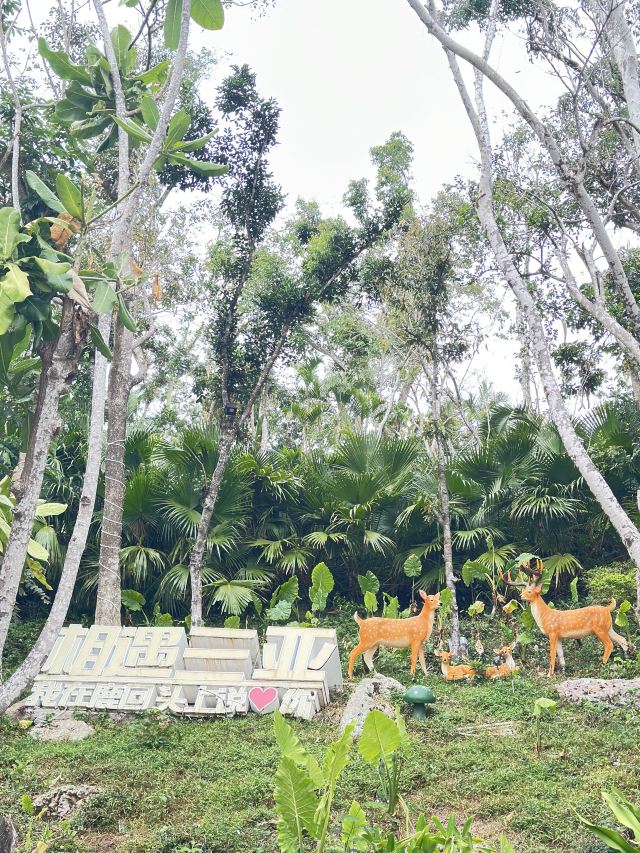 鹿回头风景区旅行图片 5