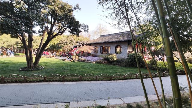 个园旅行图片 1