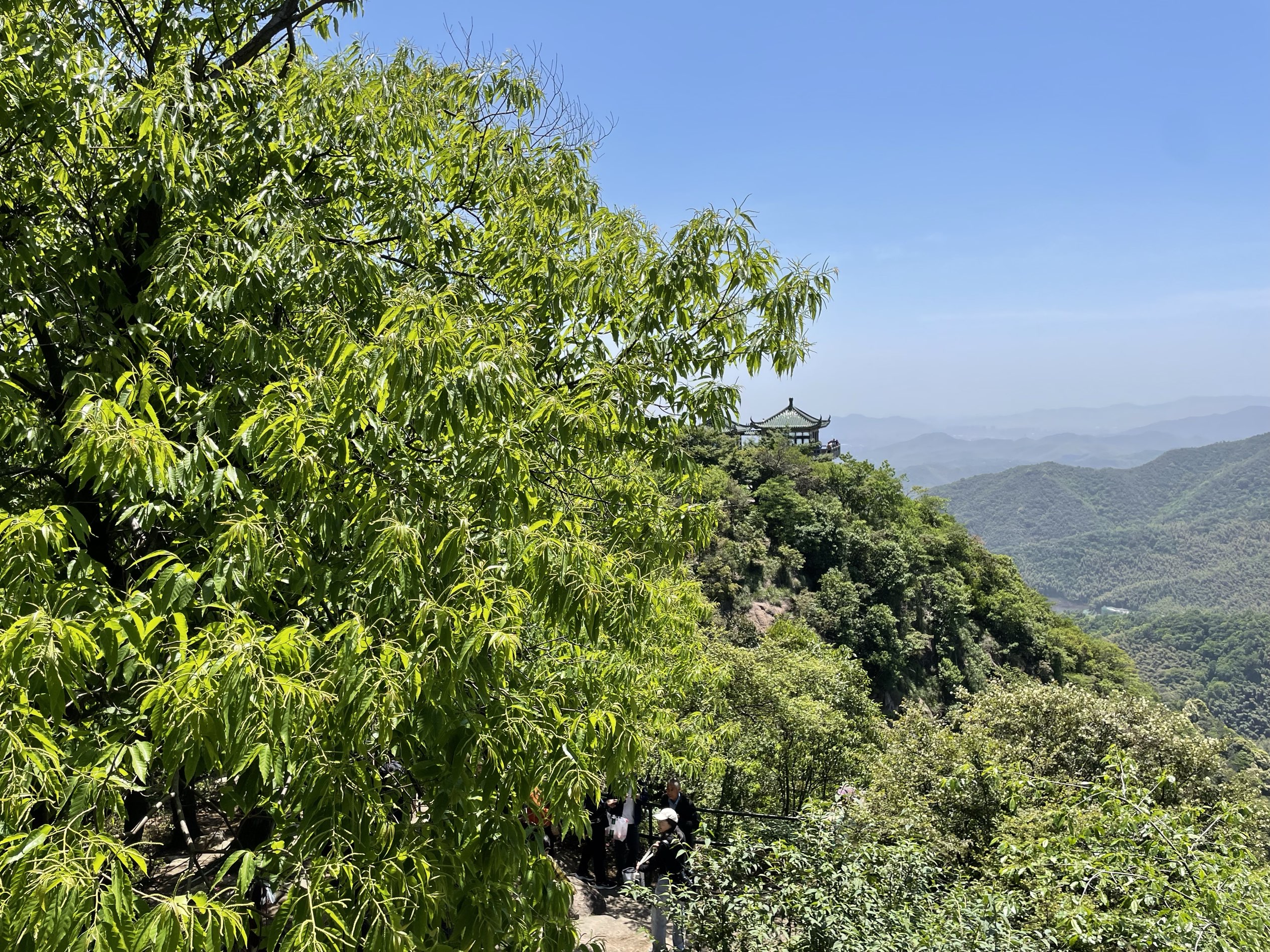 Mogan Mountain