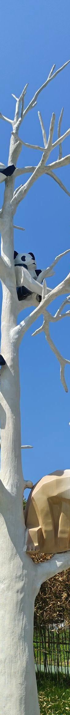 秦岭四宝科学公园-周至-予锦