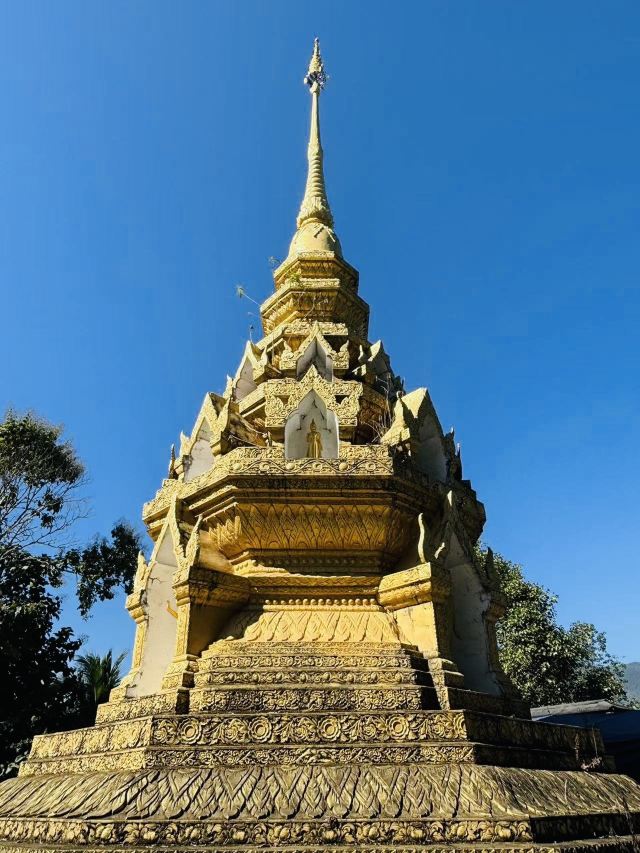 西双版纳独树成林景区旅行图片 5