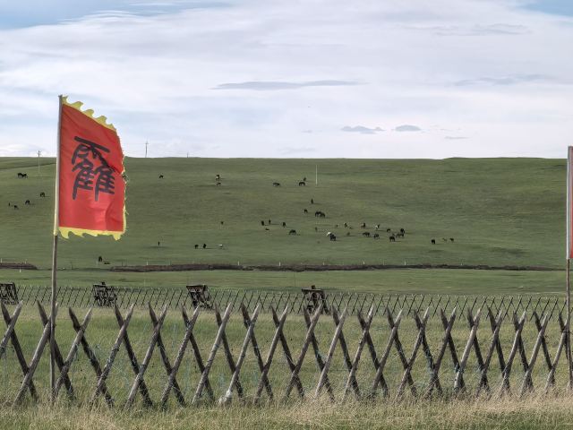 山丹皇家马场景区(暂停开放)旅行图片 8