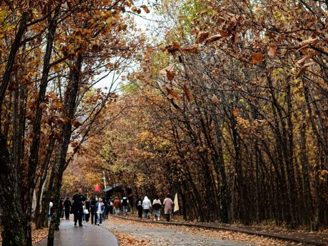 茅兰沟国家森林公园(暂停开放)旅行图片 1