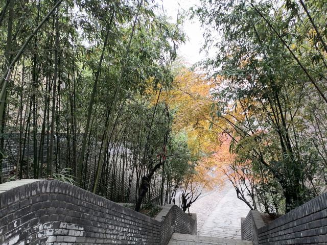司马迁祠景区旅行图片 1