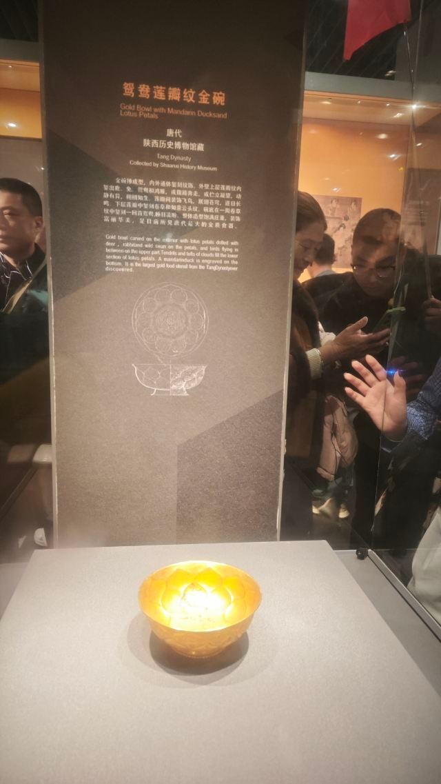 西安博物院旅行图片 1
