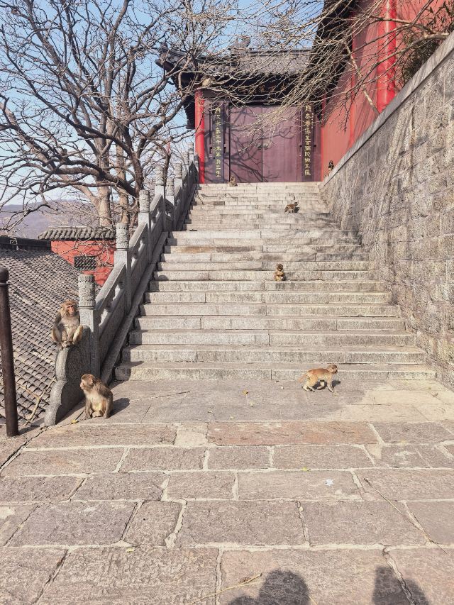 花果山风景区旅行图片 6