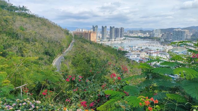 鹿回头风景区旅行图片 4