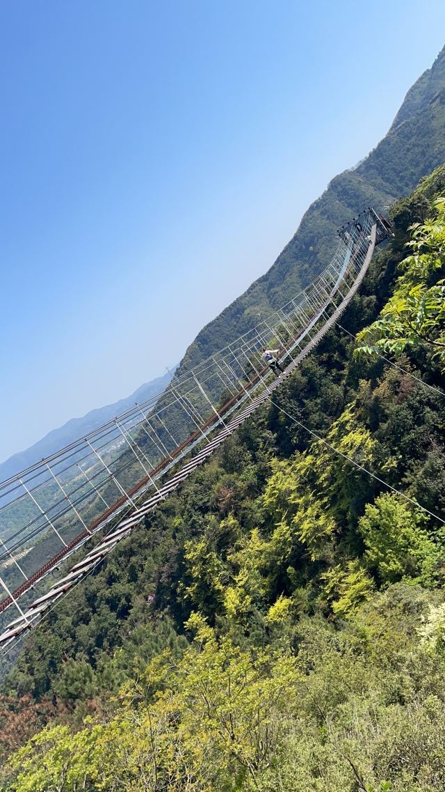 云顶草上世界旅行图片 2