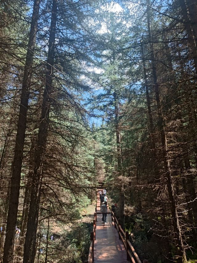 焉支山(暂停开放)旅行图片 4