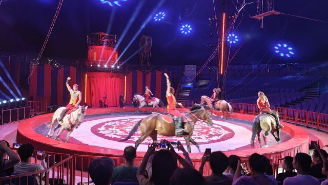 青岛明月·山海间旅行图片 1