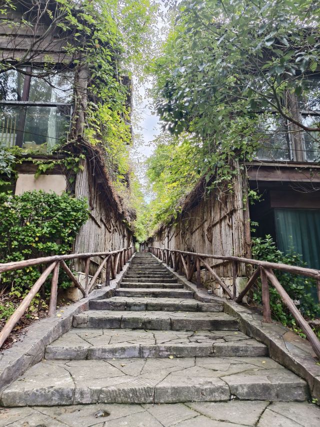 宝华山国家森林公园旅行图片 8